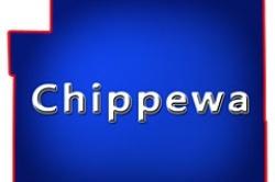 Chippewa County Wisconsin Land for Sale WI Hunting Acreage Camp Lake Lots