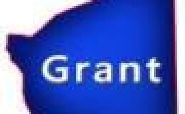 Grant County Wisconsin Land for Sale WI Hunting Acreage Camp Lake Lots