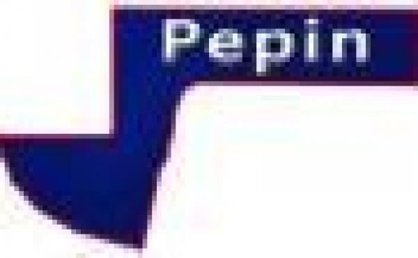 Pepin County Wisconsin Land for Sale WI Hunting Acreage Camp Lake Lots
