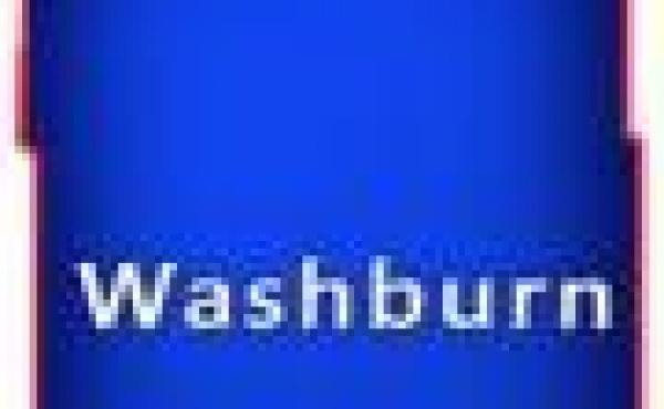Washburn County Wisconsin Land for Sale WI Hunting Acreage Camp Lake Lots