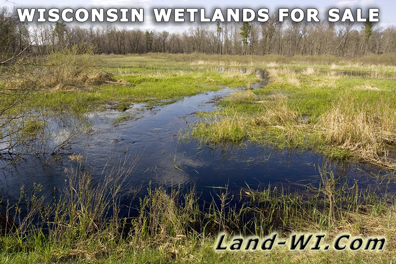 Wisconsin Wetland for Sale
